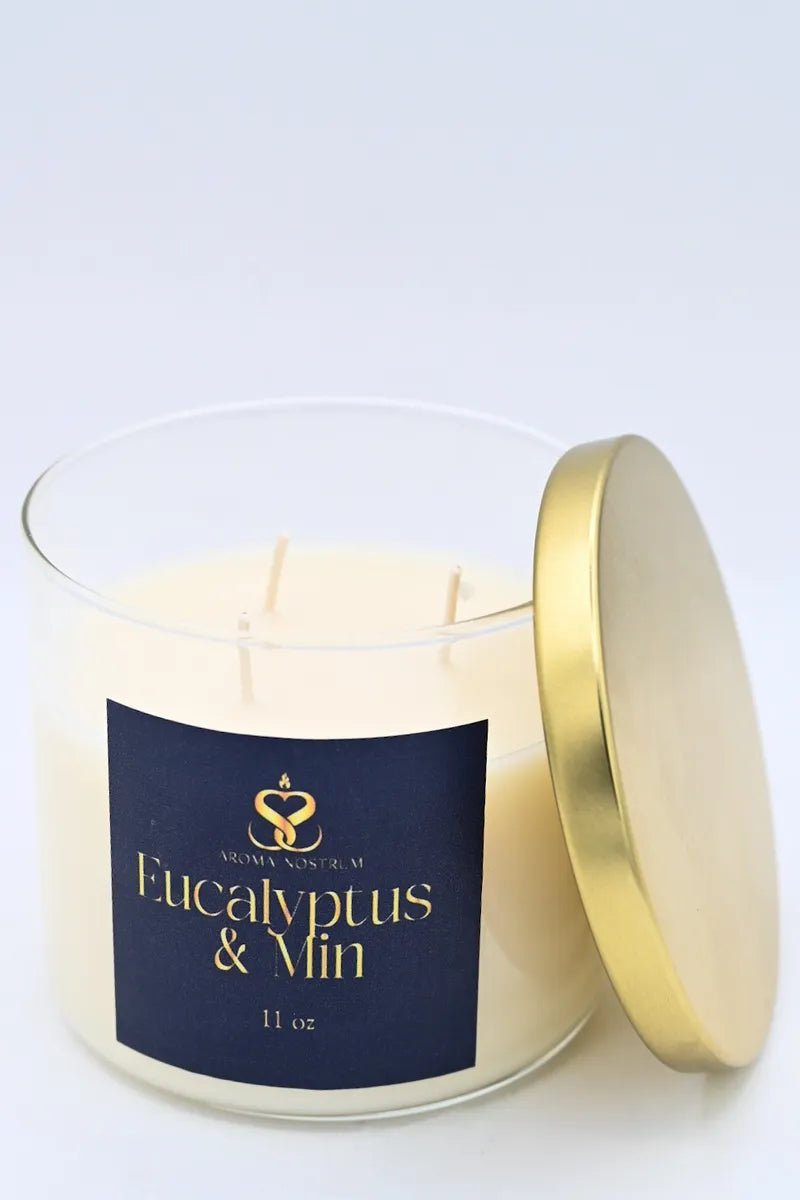 Eucalyptus & Mint - Scented Organic Coconut Wax Candle - Aroma Nostrum