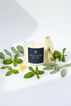Eucalyptus & Mint - Scented Organic Coconut Wax Candle - Aroma Nostrum